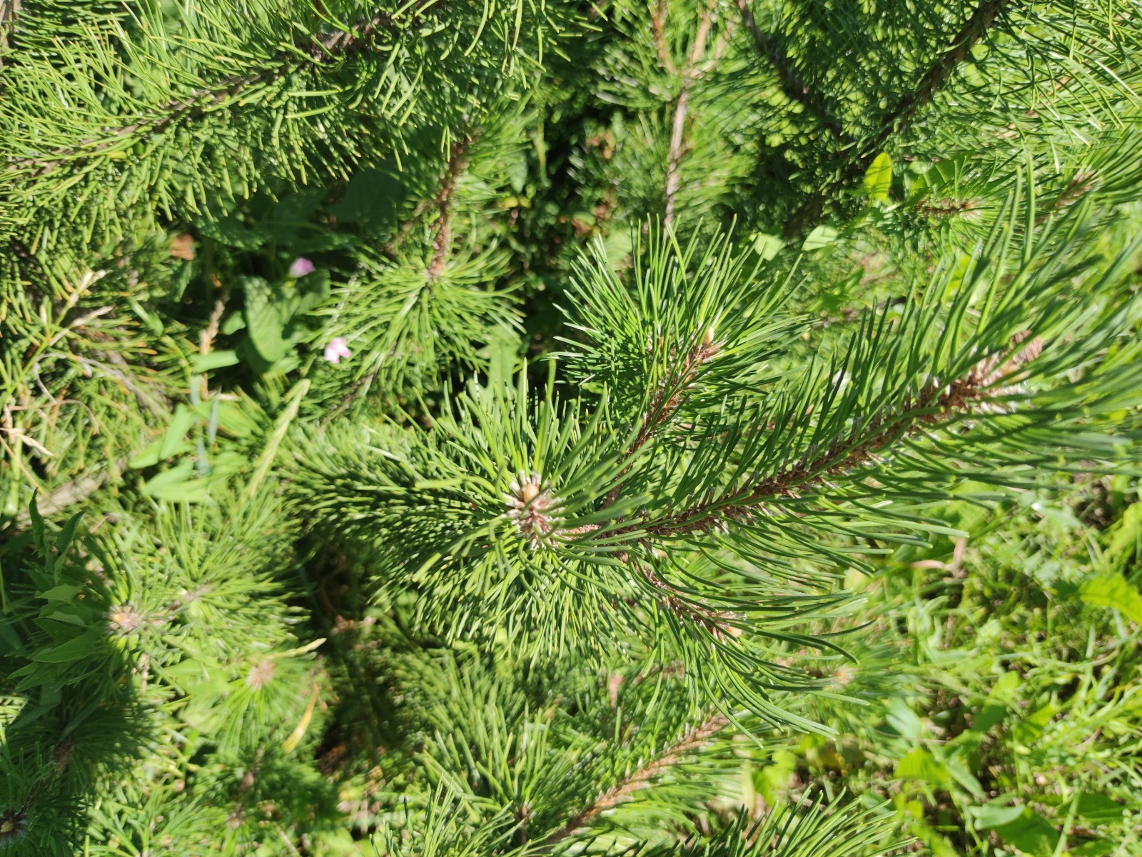 Дарьи Святохиной.