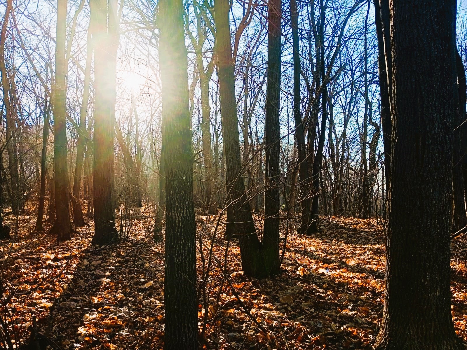 Евгении Сюткиной.