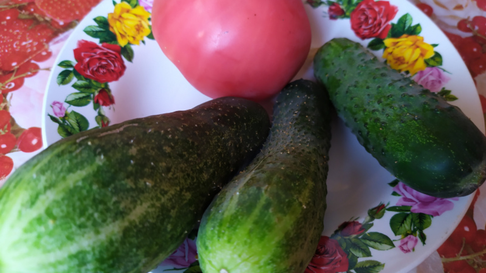 Фото Васили Саитовой.