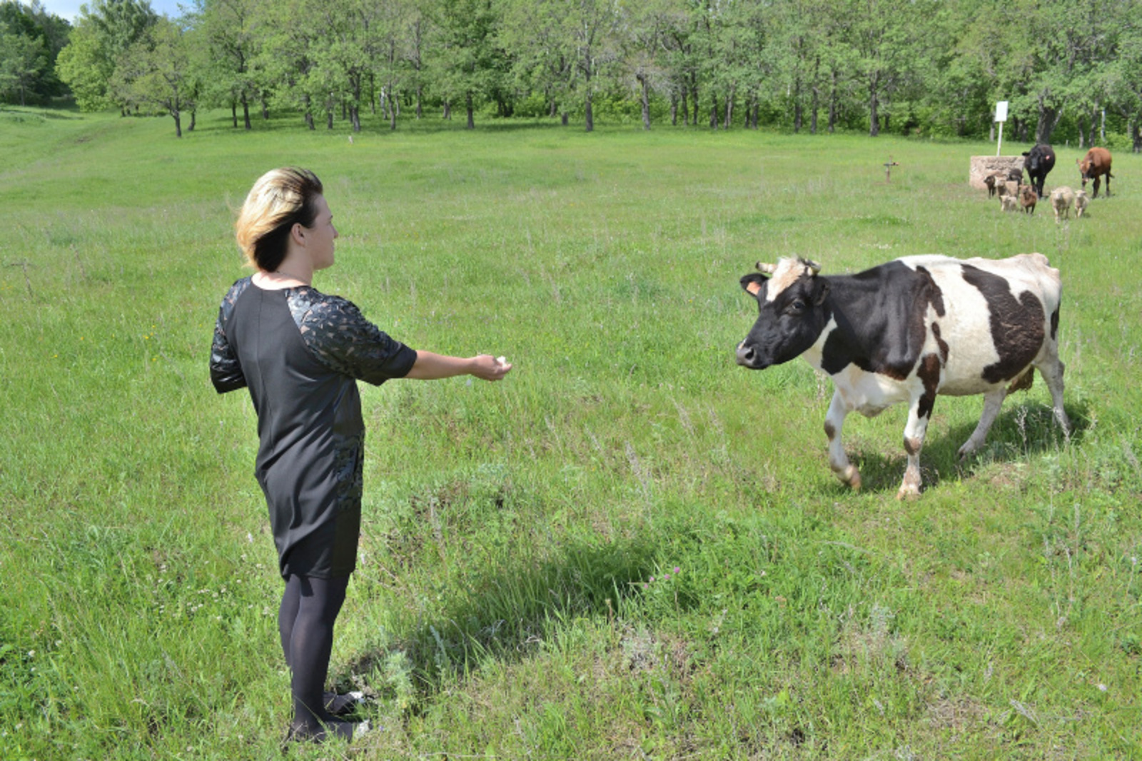 Лилия Курамшина. Фото предоставлено автором.