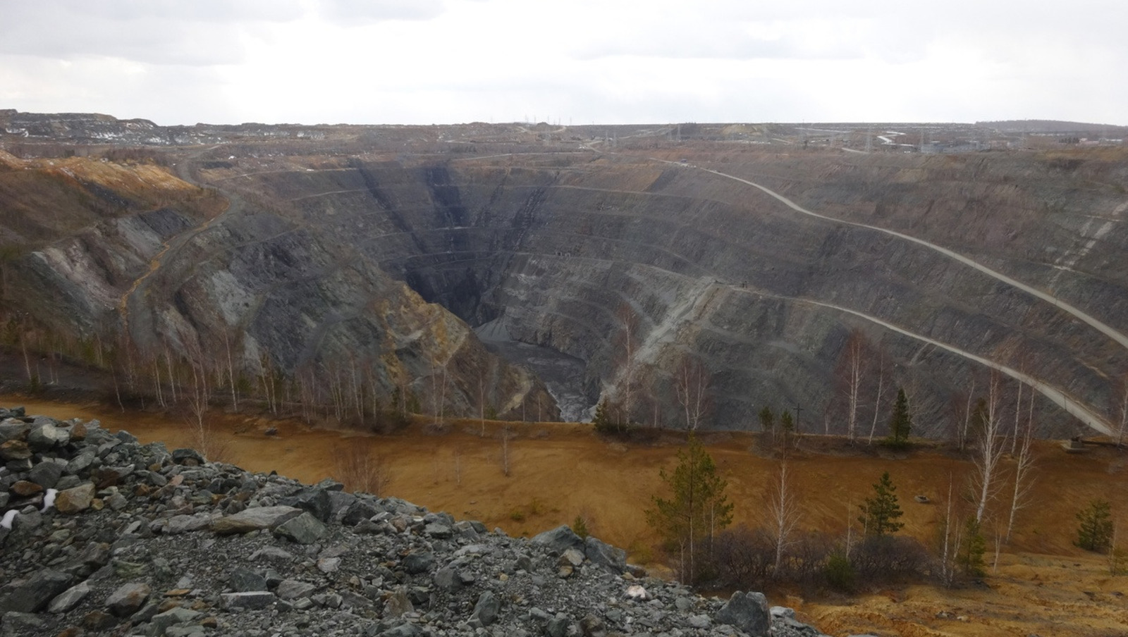 Елены Колоколовой.