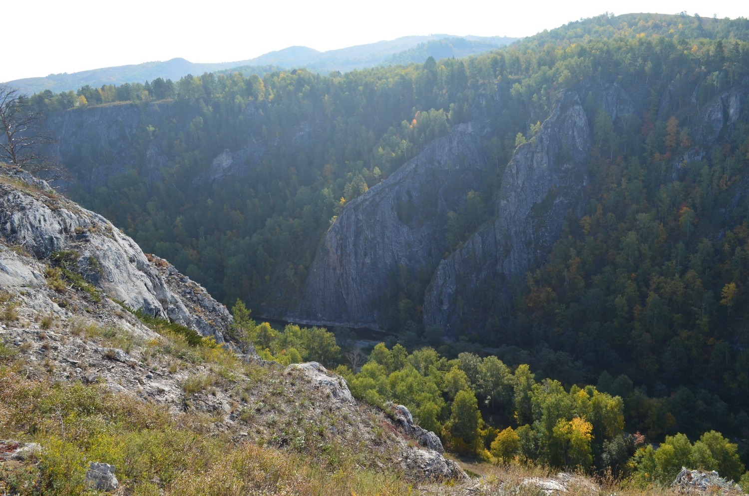 Владимира Шакиева.