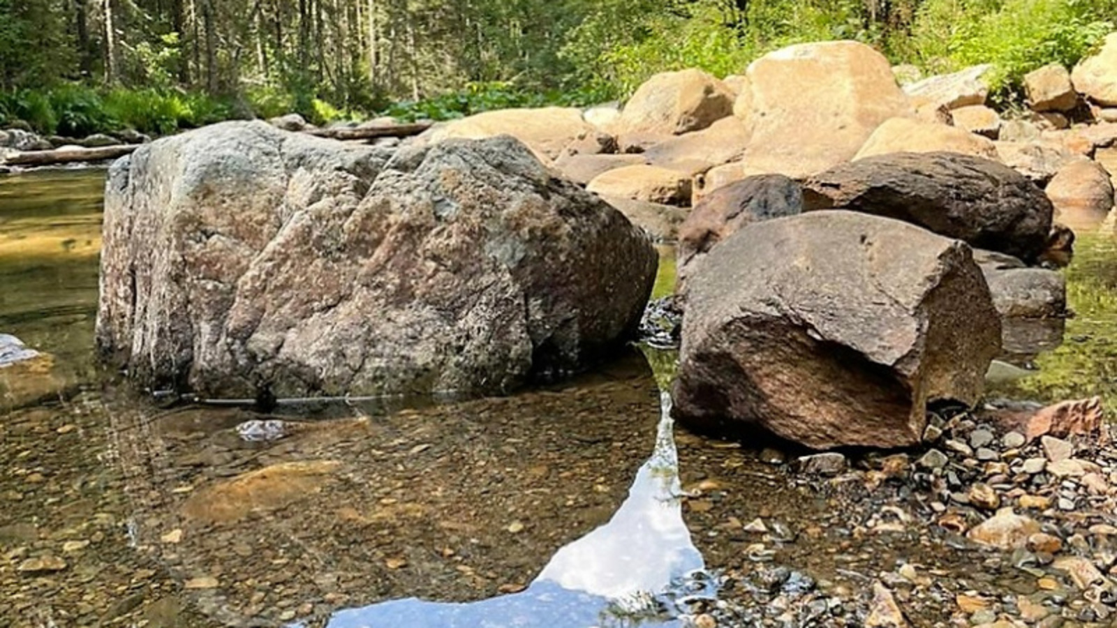 Фото Евгении Сюткиной.