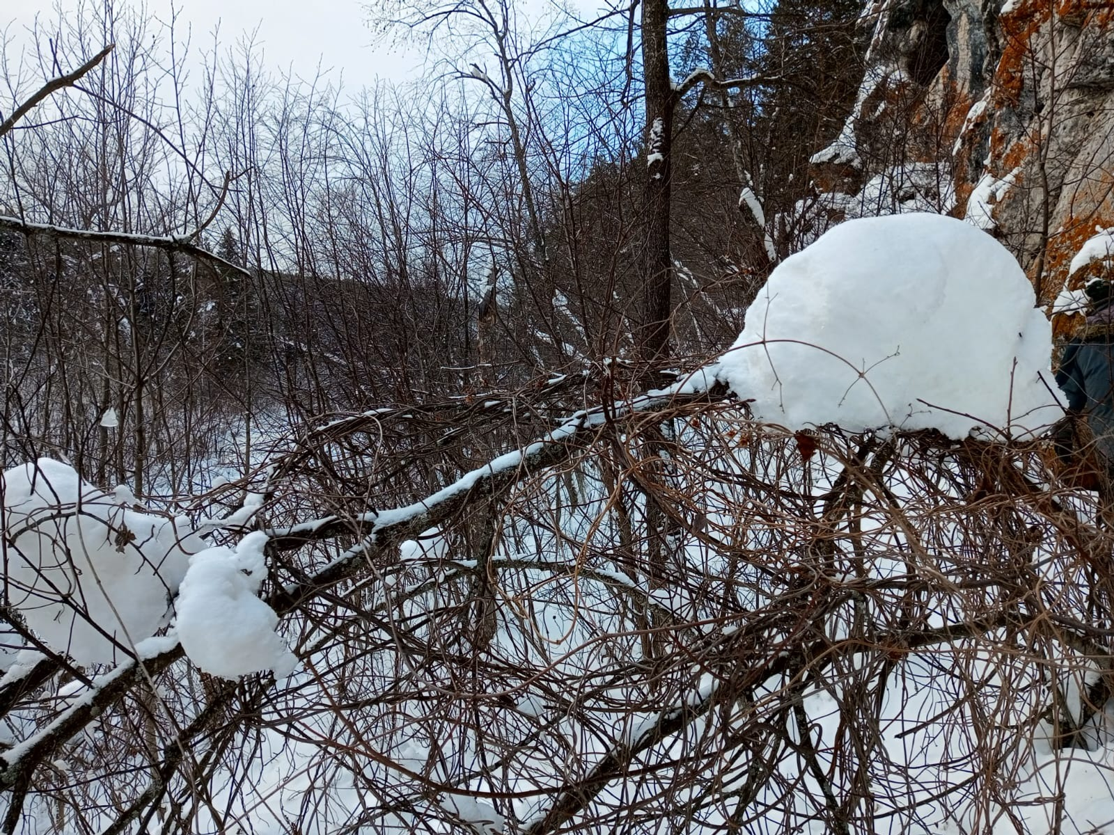 Евгении Сюткиной.
