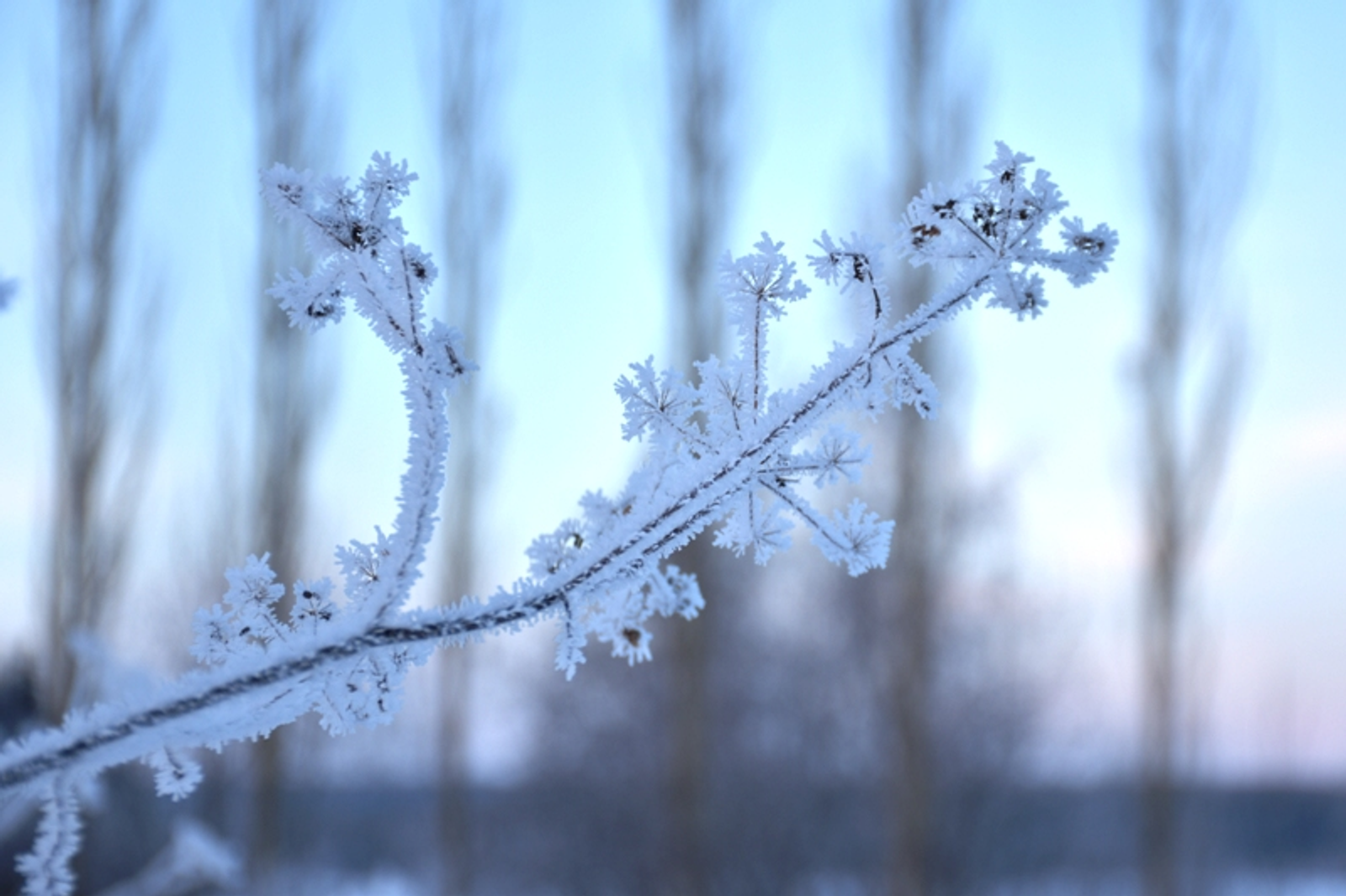 Фото Елены Колоколовой.
