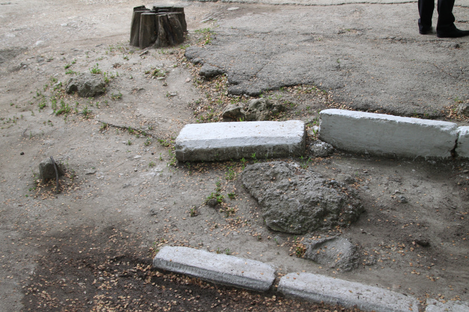 Фото Олега Яровикова.