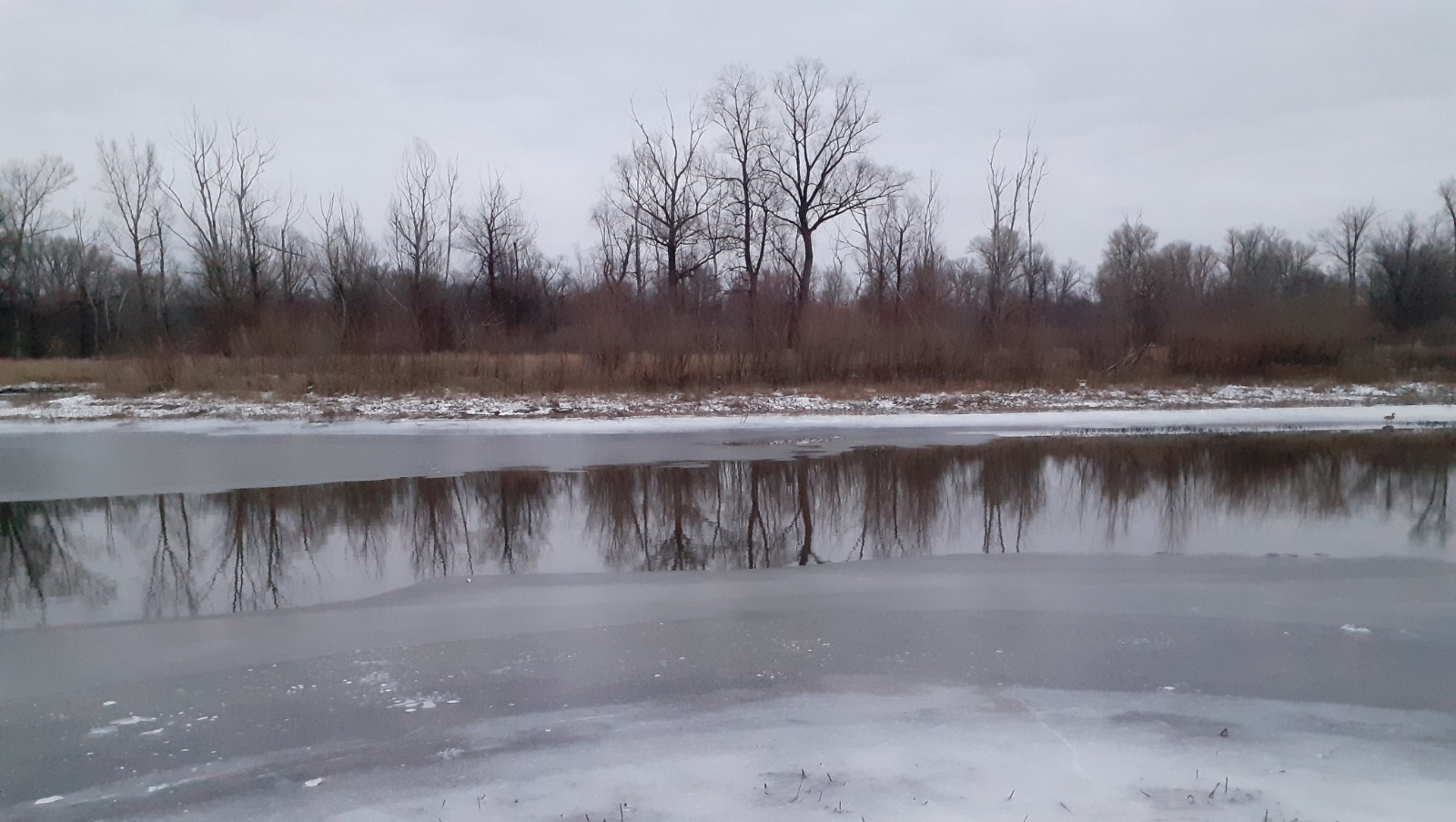 Владимира Шакиева. "Общественная электронная газета".