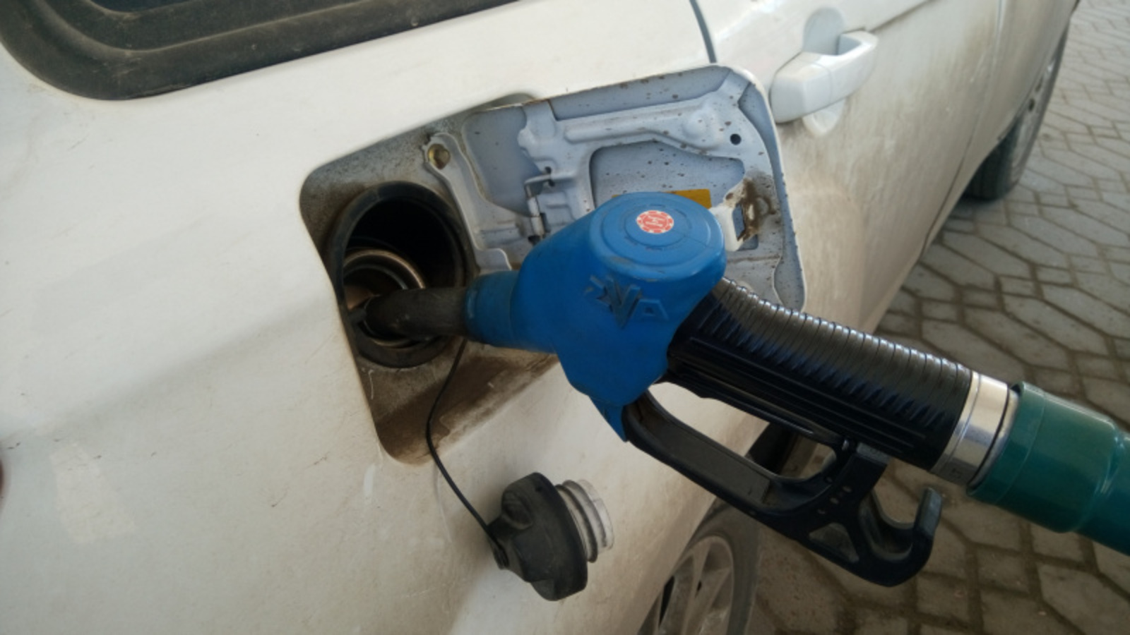 Фото Васили Саитовой.