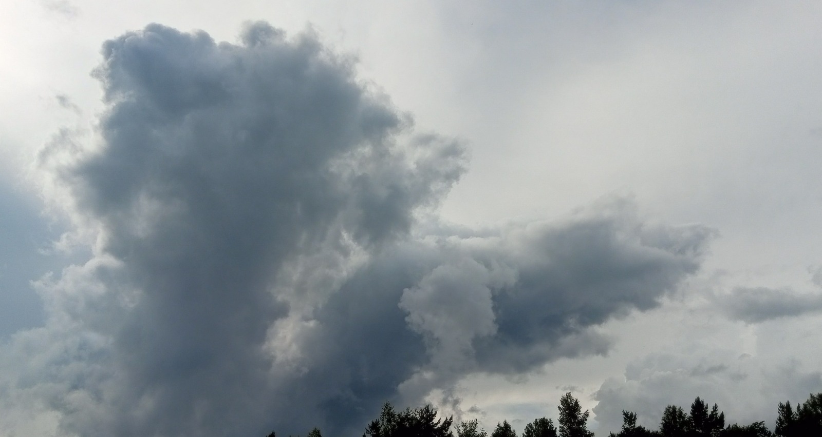 Евгении Сюткиной.