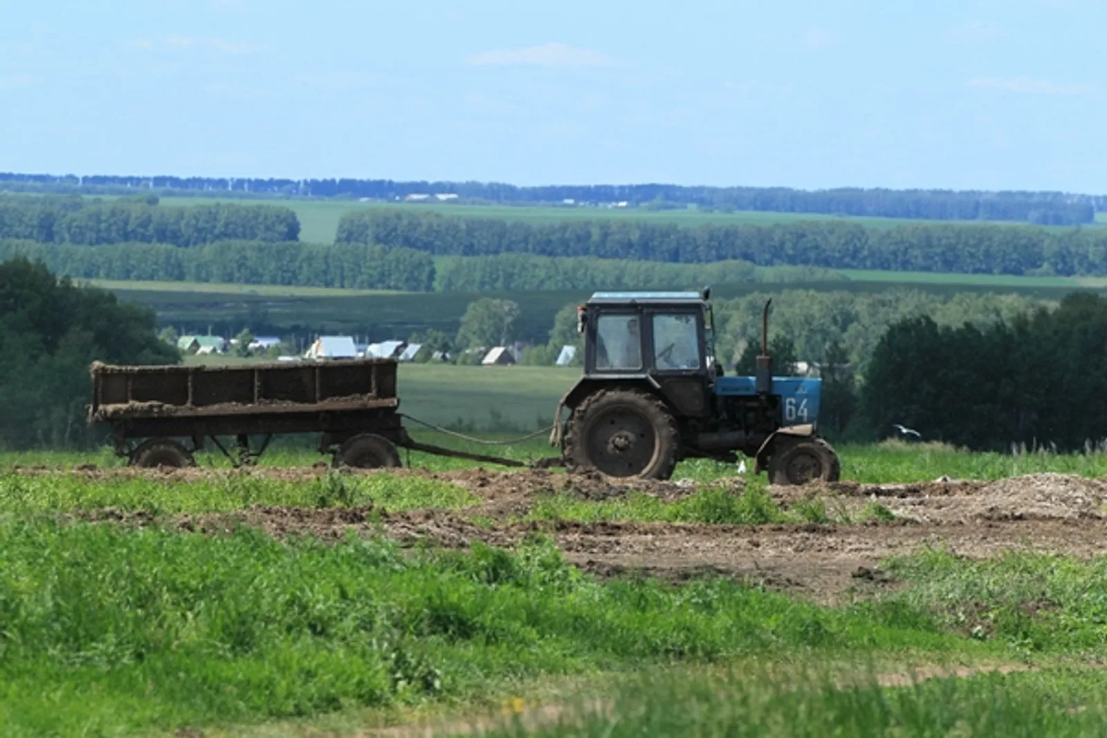 Фото Андрея Старостина.